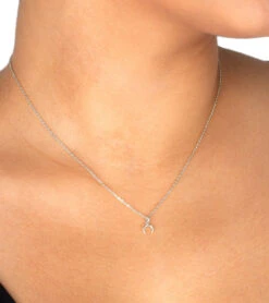 Dogeared Teeny Crescent Necklace -Hot Sale Everyday Yoga Store 4844356042795 silver 3a 1
