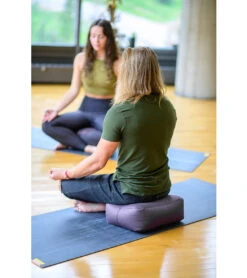 Hugger Mugger Zen Yoga Meditation Cushion Sun -Hot Sale Everyday Yoga Store 6763641471019 sun 4a